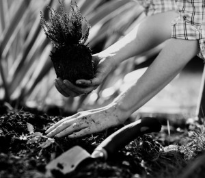 sustainability